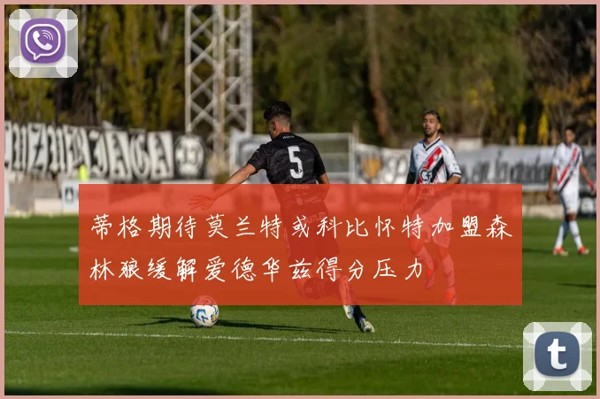 蒂格期待莫兰特或科比怀特加盟森林狼缓解爱德华兹得分压力