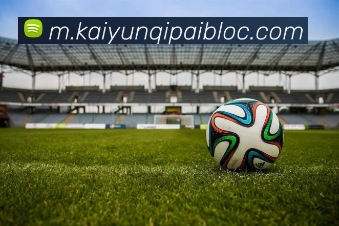 开云棋牌官网平台生态图